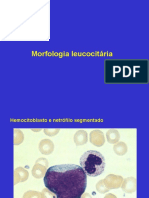 Morfologia Leucocitária