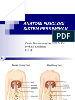 Anatomi Fisiologi Sistem Perkemihan