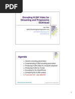 Download Encoding H264 Video forstreaming and progressive download by Scott Saturday SN48891512 doc pdf