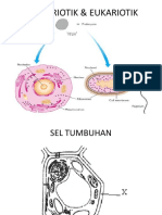 Nar 1 Struktur Dan Fungsi Sel