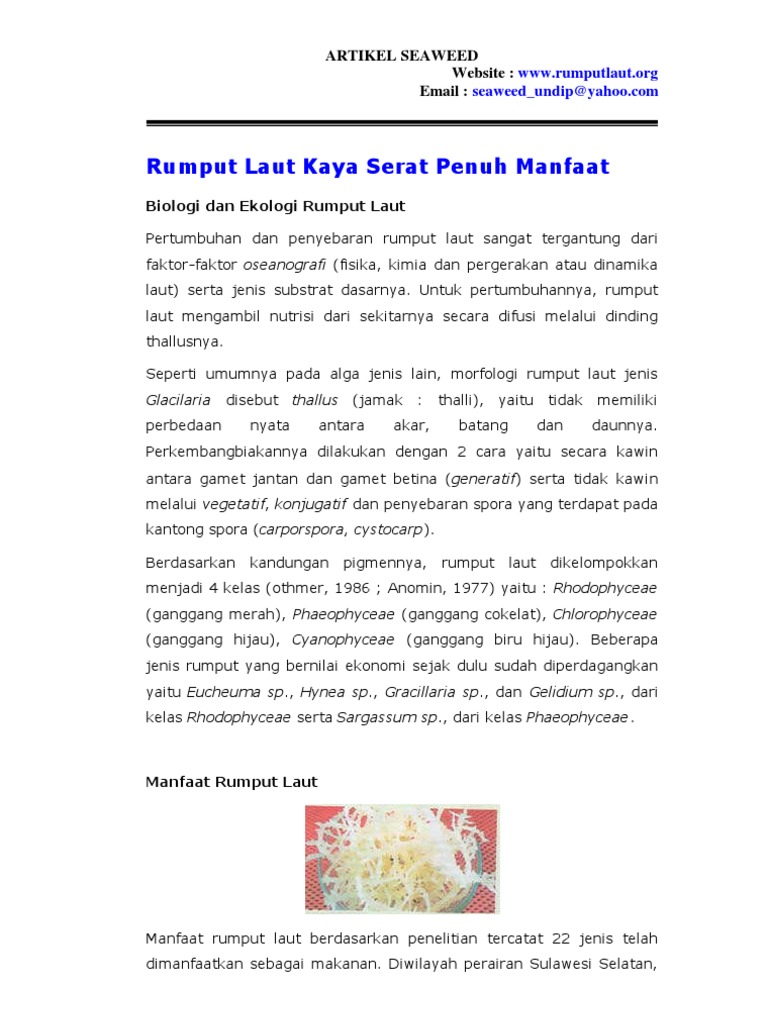 Rumput Laut Kaya Serat Penuh Manfaat | PDF