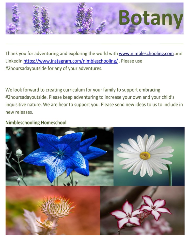 Botany Unit Study PDF Books Botany