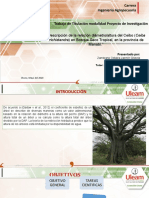 Carrera Ingeniería Agropecuaria: "Descripción de La Relación Diámetro/altura Del Ceibo (Ceiba Manabí."