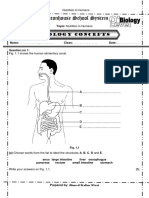 Nuitration in Human 4