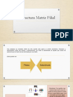 Estructura Matriz Filial PDF