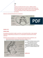 Recapitulare anatomie si fiziologie aparat genital feminin.pdf