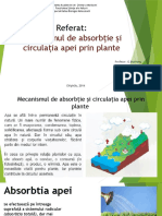 215182856-Mecanismul-de-absorbție-și-circulația-apei-prin-plante.pptx
