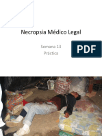 Semana 13 Practica Necropsia Médico Legal (Diapositivas)