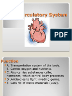 The Circulatory System