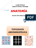 Anatomia n1