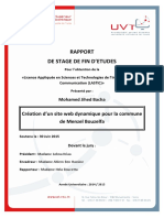 Memoire PFE