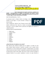 4-Estrategia-Competitiva.docx