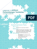 Suratul Wahyuda - Laporan Paku