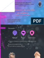 genitales masculinos (exploración).pptx