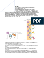 Resumen Clases de Biología Molecular PDF
