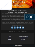 INTENSITY Readme.pdf