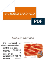 cardiaca