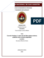 Trabajo de Investigacion Formativa PDF