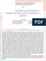 ¿El Perú Es Realmente Un País Democrático, Comprometido Con Los Derechos Humanos y La Libertad