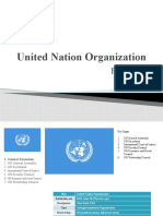 Understanding United Nation Organization