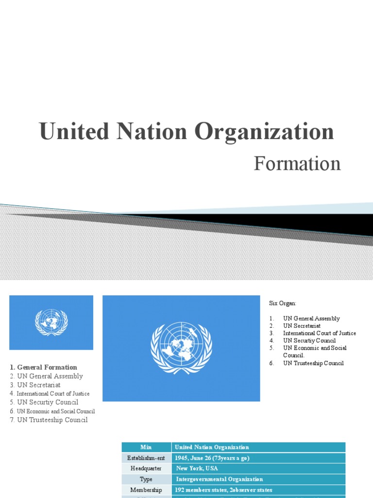 Overview of the United Nations Structure | PDF | United Nations ...