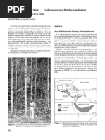 Download Swietenia macrophylla  - CAOBA  p11v by Neyser Villalobos SN48897377 doc pdf