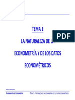 Tema 1 La Naturaleza de La Econometría Y de Los Datos Econométricos