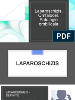 Patologie Reg Ombilicala