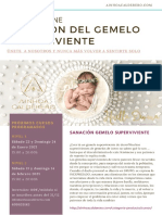 Sanacion Memoria Gemelar PDF