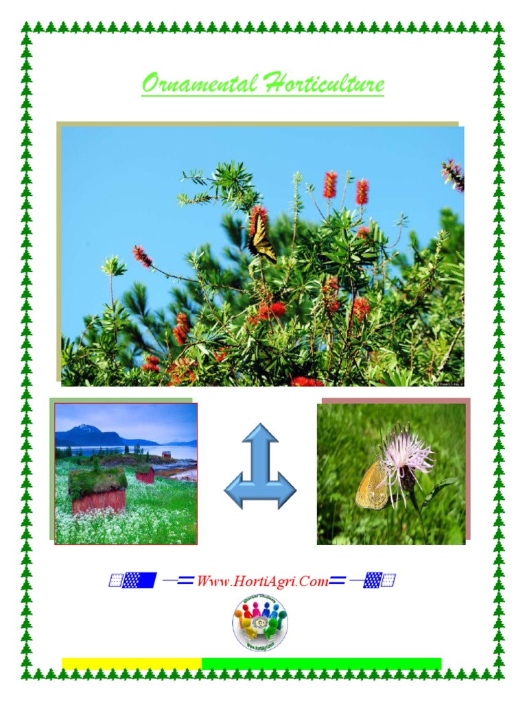 Ornamental PDF | PDF | Environmental Design | Horticulture And Gardening