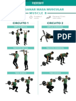 PDF Fuertafit - Muscle B