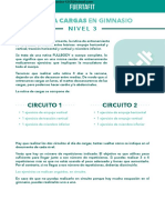 PDF FUERTAFIT - CARGAS GYM Nivel 3