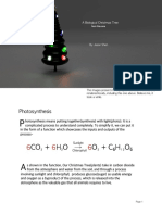 Biology Christmas Paper