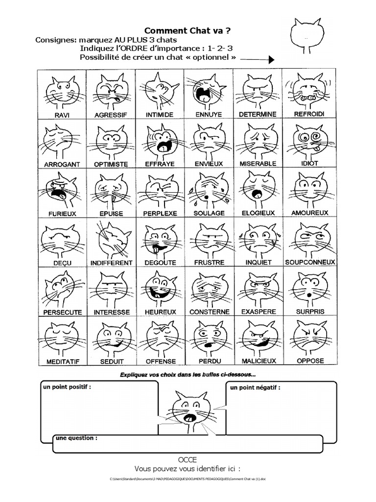 Comment Chat Va ? Instructions et Règles | PDF