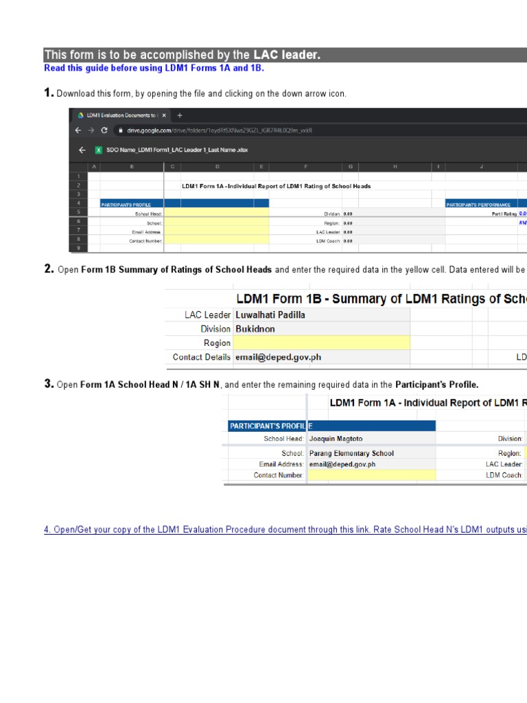 LDM1 Forms 1A and 1B User Guide | PDF | Cognition | Computing