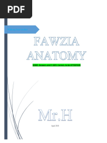 FAWZIA ANATOMY Sheets All Parts