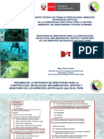 PPT-Directrices en Perú - AA
