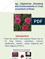 Floral Biology, Objectives, Breeding Strategies and Achievements in Crop Improvement of Rose