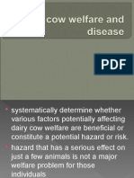 14, Dairy Cow Welfare and Disease