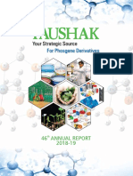 Paushak Limited Annual Report 2018-19 PDF