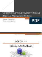 Veritabani Yönetim Sistemleri (Database Management Systems) : Maltepe Üniversitesi