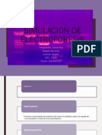 Electroforesis_Presentacion_Grupo3_NRC_5252.pdf