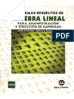 Problemas Resueltos de Algebra Lineal para ADE - Prieto Sáez E. 345pags PDF