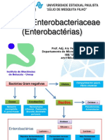 Aula Enterobacteriaceae para Veterinaria 2019 PDF