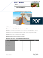 BioGeo10 Vulcanismo