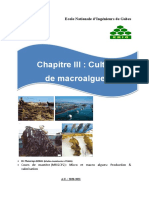 Chapitre III-culture macroalgues