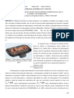 Churrasqueira elétrica.pdf