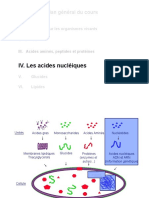 acides nucleiques.pdf