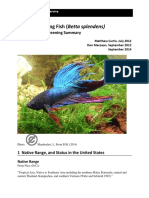 Siamese Fighting Fish (Betta Splendens) : Ecological Risk Screening Summary