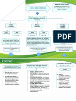 Ciclo Vital Familiar Cuadro-1